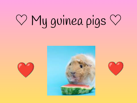 ♡ My Piggies! ♡