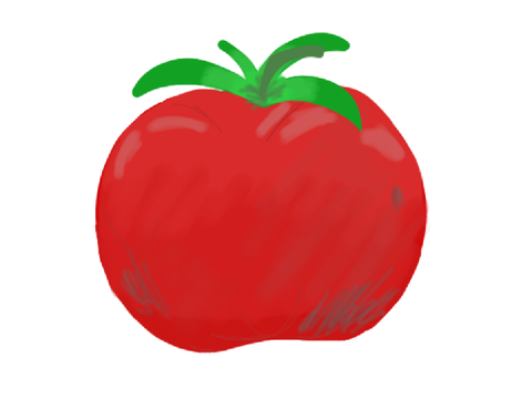 high quality tomato
