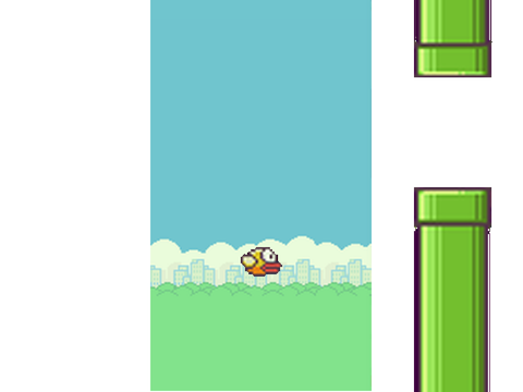 Flappy Bird, Pope