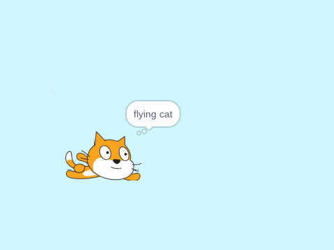 first project flying cat