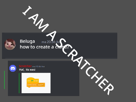 Chat with Beluga SCRATCHER LOGIC |  FPCA