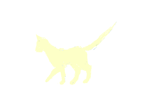 Random animation