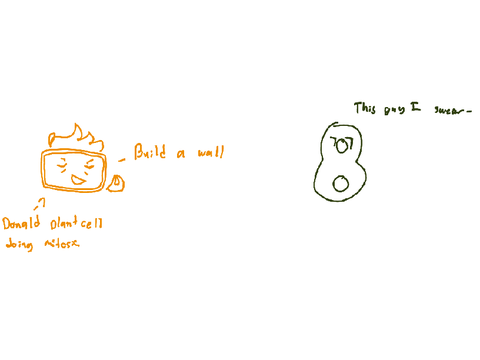 Zays bio notes but there’s n o  context