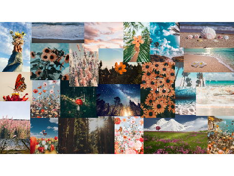 Nature Aesthetic Wallpaper