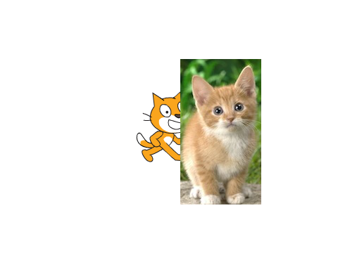For ZoomCat
