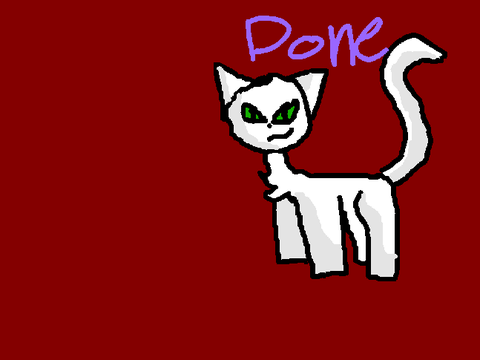 CaT sPeEd DrAw