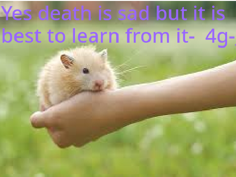 Don't forever mourn over sad things