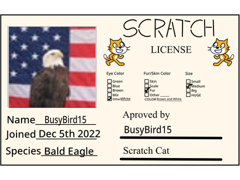 BusyBird15's scratch license remix