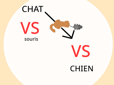 CHAT-CHIEN souris PvP V1.5+