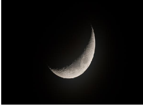 moon pfp