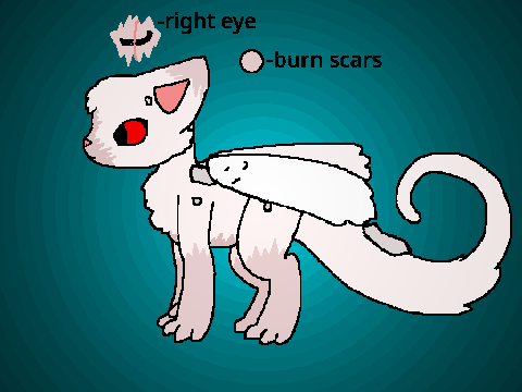 Lotus the Albino Hybrid