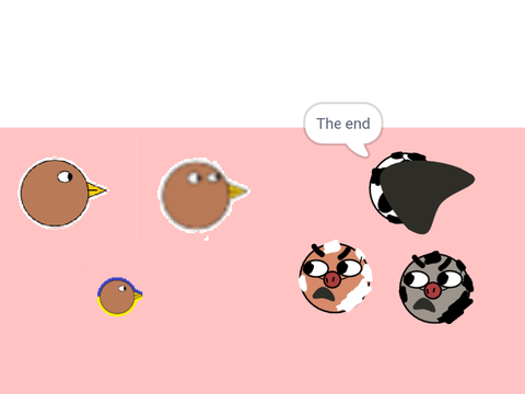 Band KIWIS Vs COWS