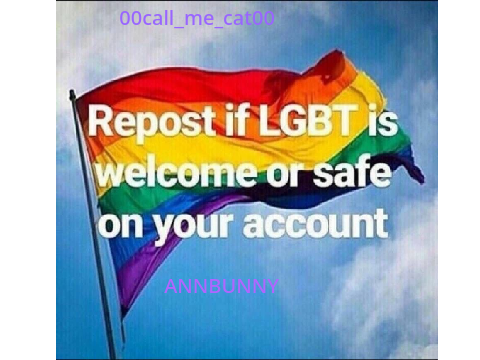 Sign if the LGBTQ+ community is welcome or safe on your account remix remix