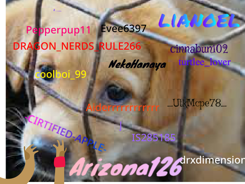 Sign if you care! dont hurt the doggie ):  remix