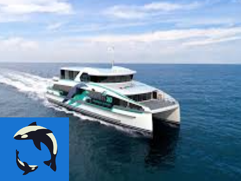BOAT CHASE (CRUISE UPDATE) BOAT UPDATE !!! 