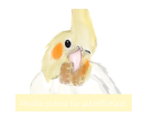 Profile Picture order for @WaffleKeet