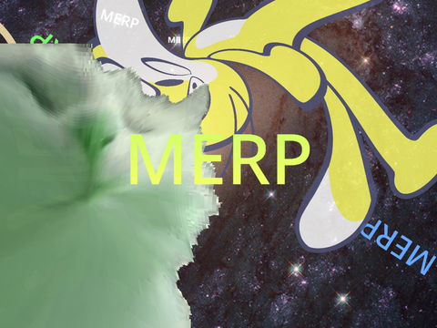 MERP 2