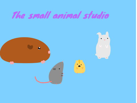 The small animal studio