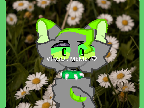 ♥ virgo . meme ♥
