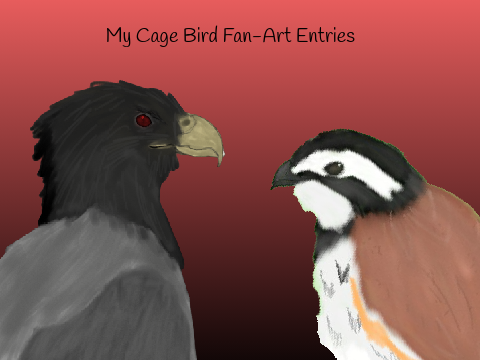 300+ Followers CAGE BIRDS DRAWING COMPETITION! :D remix