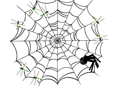 Spider