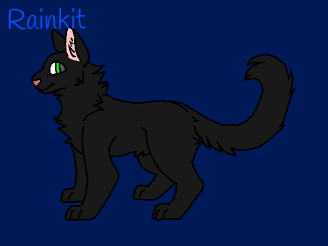 Rainkit's Nest