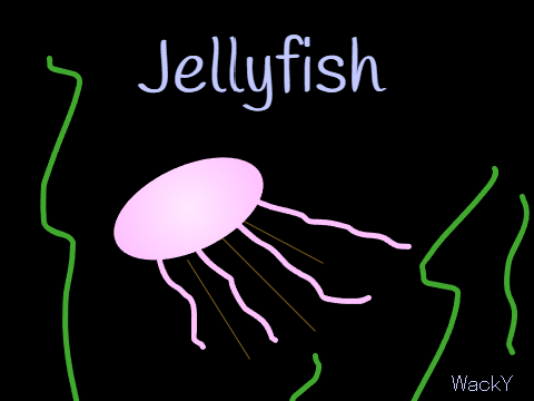 Jellyfish