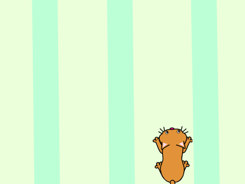 Feed the Cat (Made by my school account)