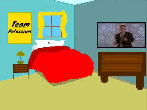 Custom Bedroom