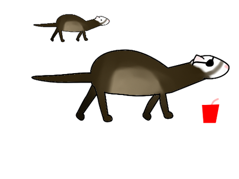 OTA Payments for @dream_horse14 - ferret