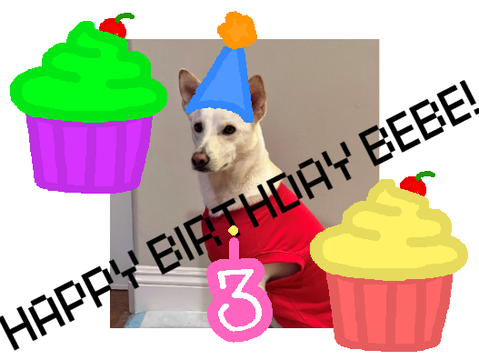 HAPPY BIRTHDAY BEBE!