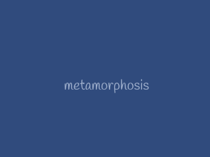 - metamorphosis meme - remix (edited)