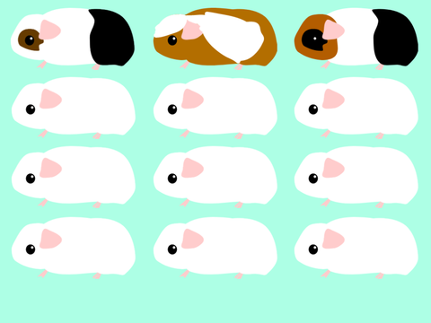 Add your own guinea pig! remix