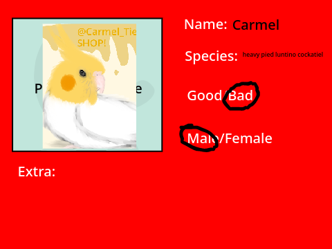 Sign Up Sheet for A new Animation remix