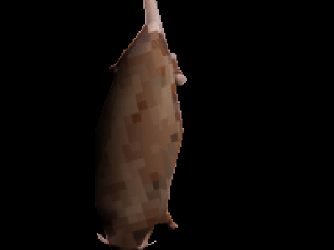Rat spining for 10 Years but it actually only lasts 10 years