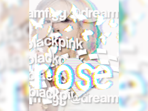 R0S3 ⇆ 3D1T ▚▚