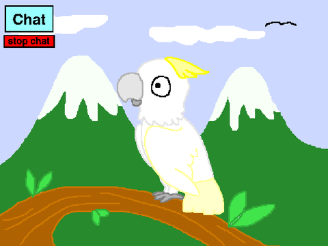 INTERACTIVE COCKATOO!
