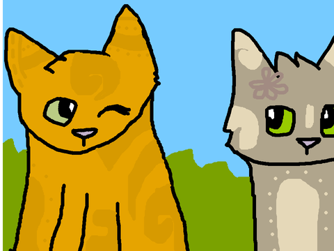 Cat Colouring Competition!