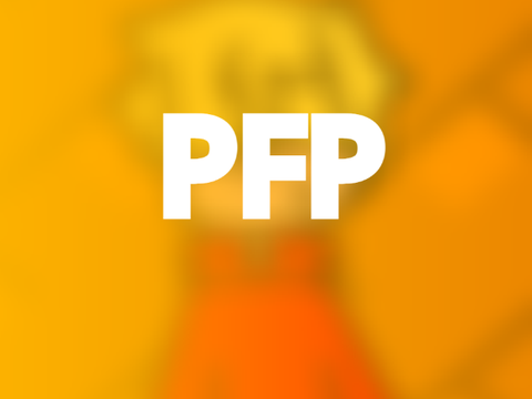 PFP For Nixmon