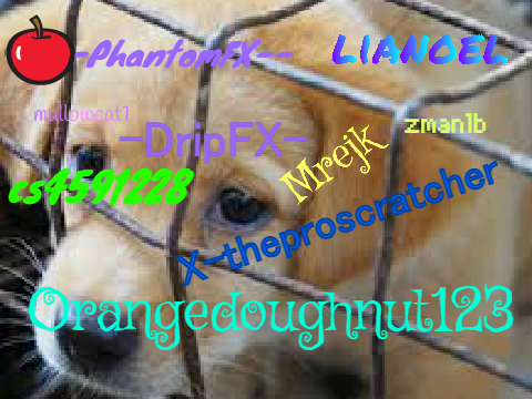 Remix this and put your own name if you care! remix remix remix