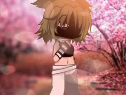 Cherry blossoms