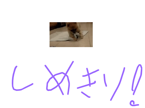 宝くじ！