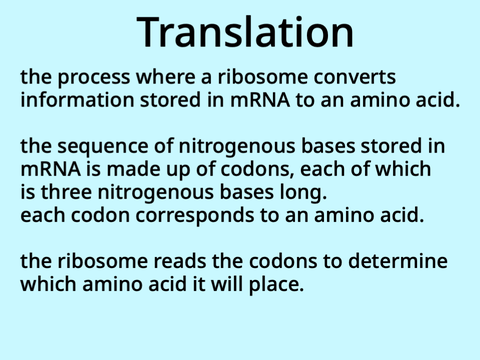 protein synthesis fun video