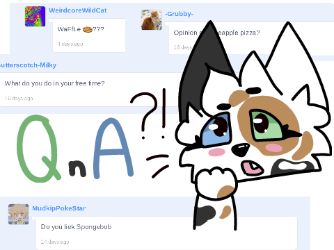 300 Follower QnA 