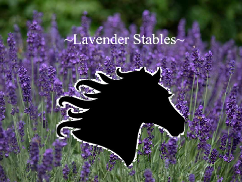 ~Lavender Stables~