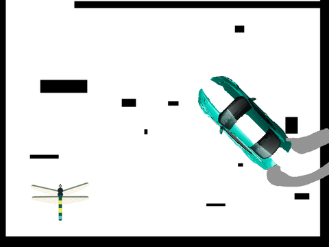 dragonfly