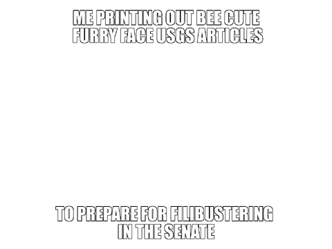 ME PRINTING OUT BEE CUTE FURRY FACE USGS ARTICLES
