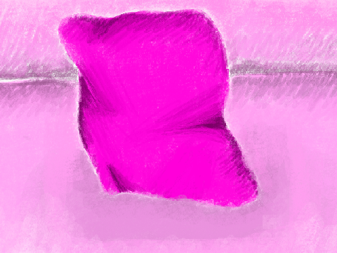 Pillow Art