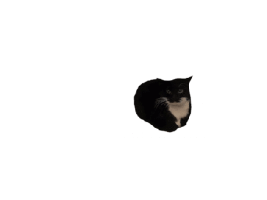 Maxwell has had enough