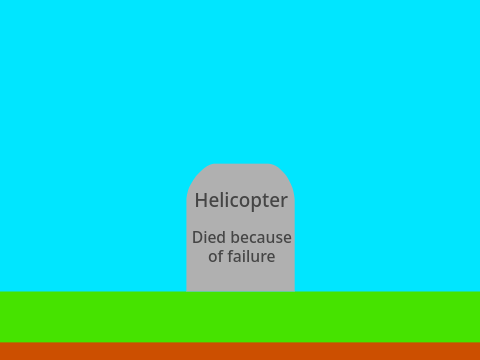 Helicopter died
